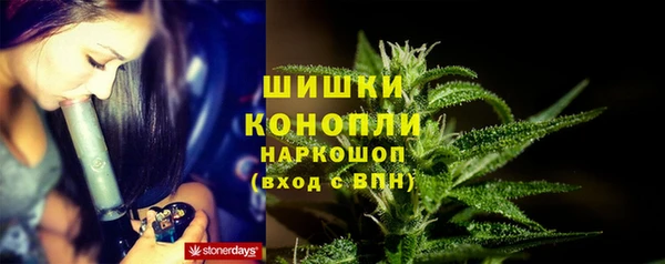 ешки Белокуриха