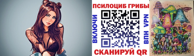 Купить  Саров  Галлюциногенные грибы Cubensis 